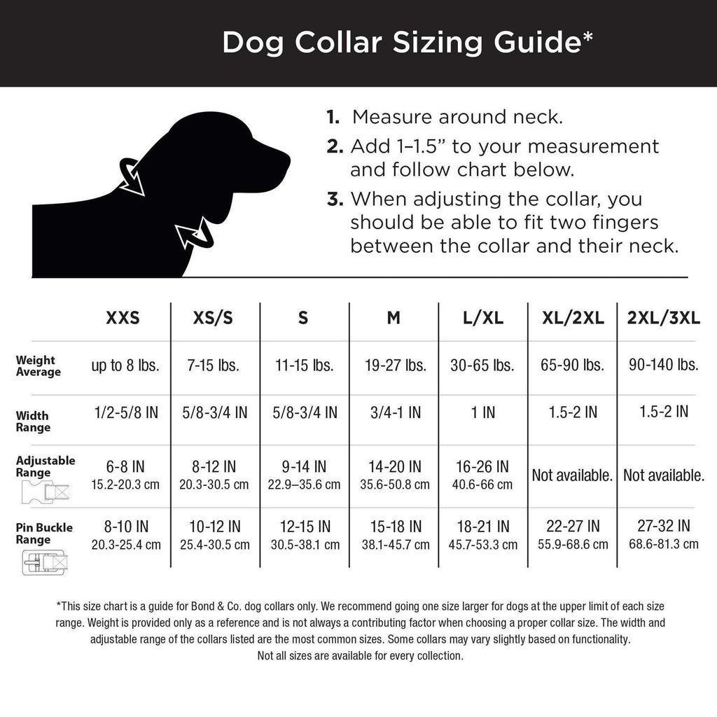 Teal Dog Collar X9146