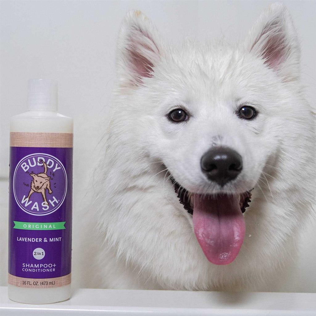 Lavender & Mint Dog Shampoo & Conditioner T43897