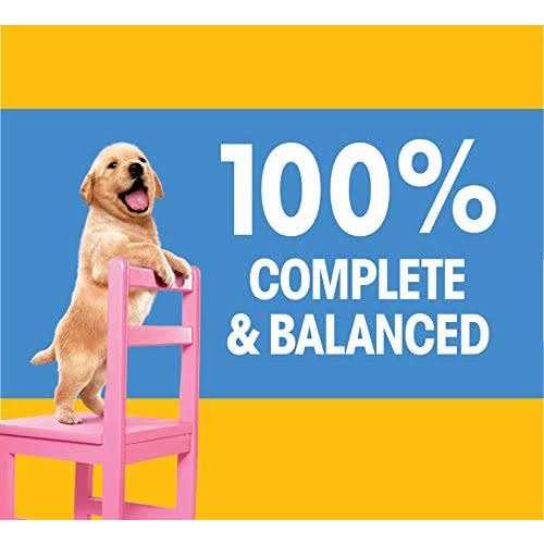 Chicken & Vegetable Dry Dog Food N5751