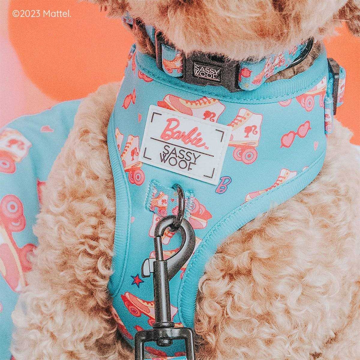 Dog Collar V30648