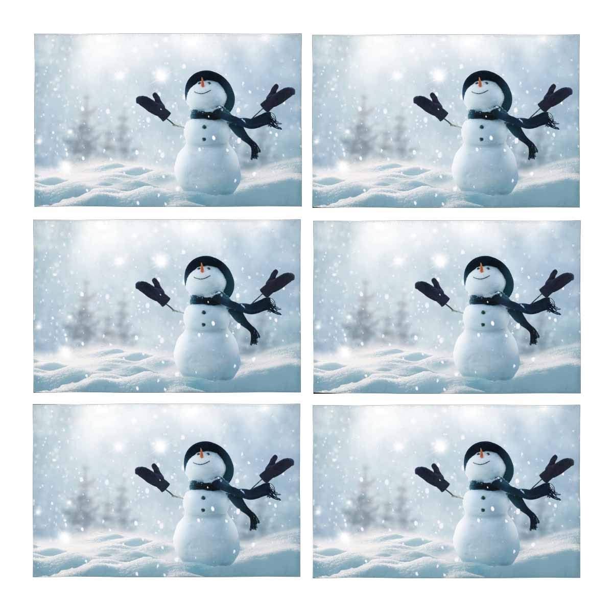 Winter Christmas Landscape Placemats O6840