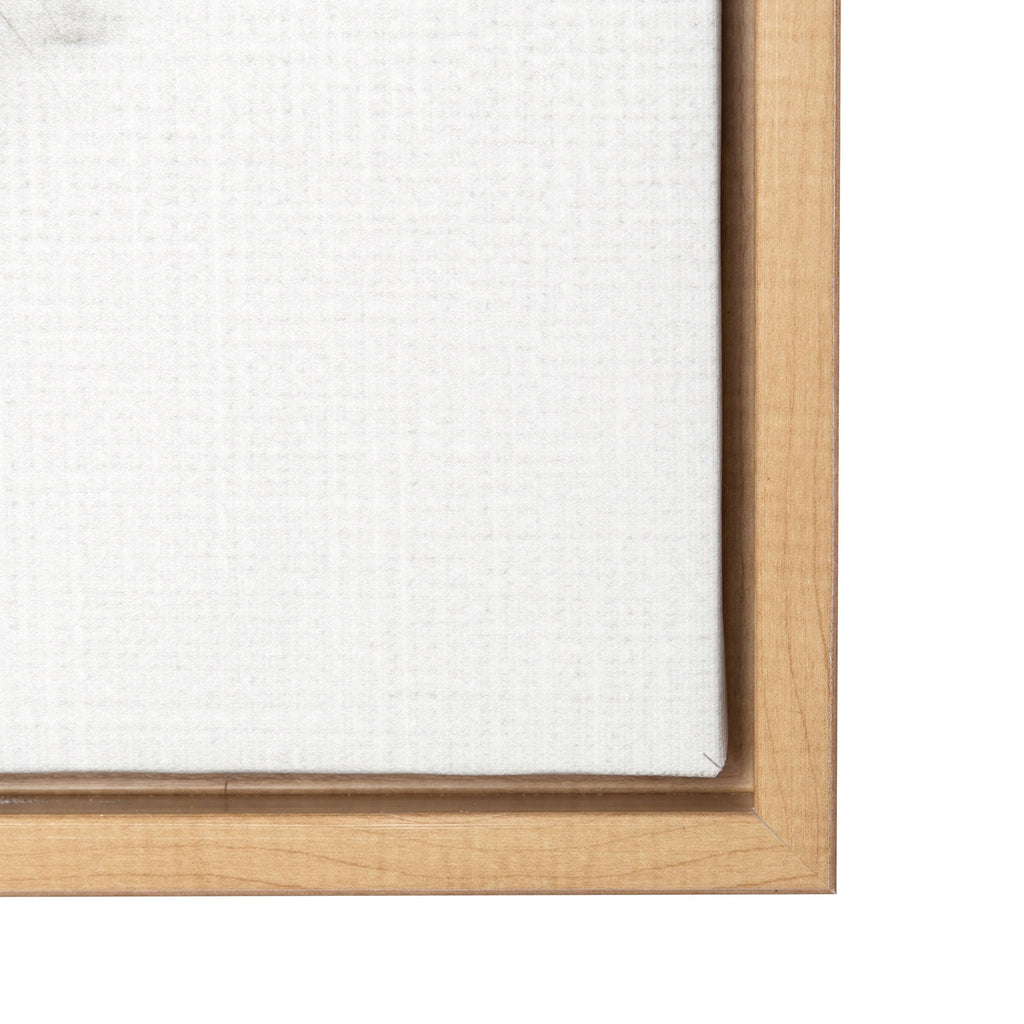 Framed Canvas D268