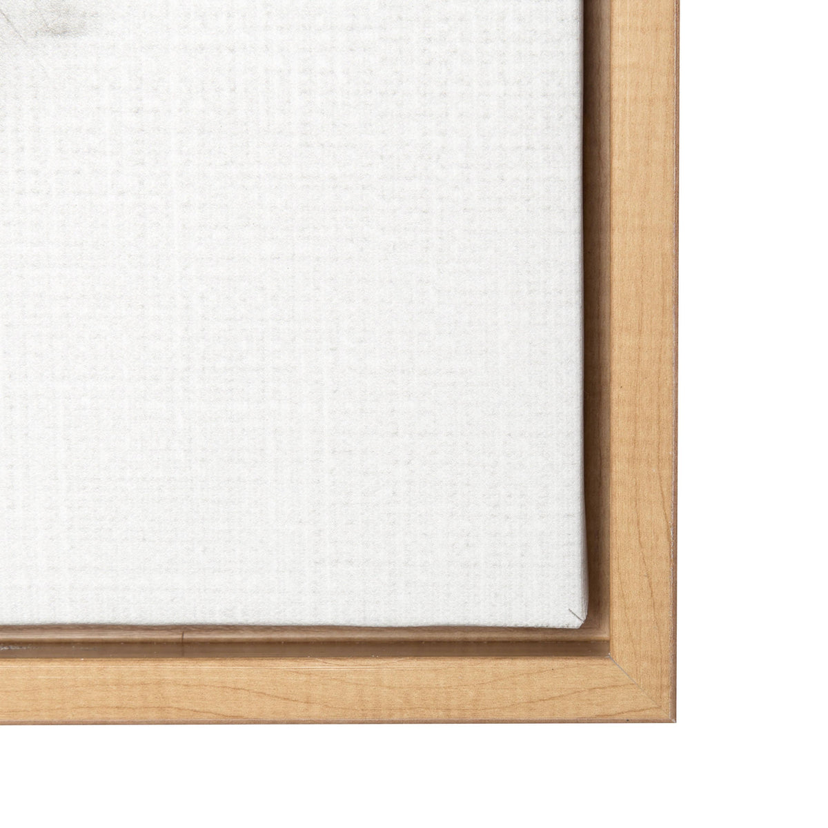 Framed Canvas D268