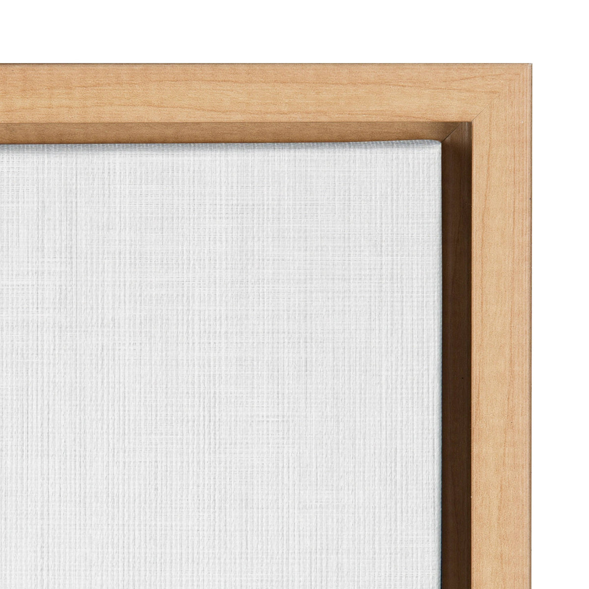 Framed Canvas D268