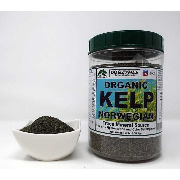 Organic Kelp with Garlic J955