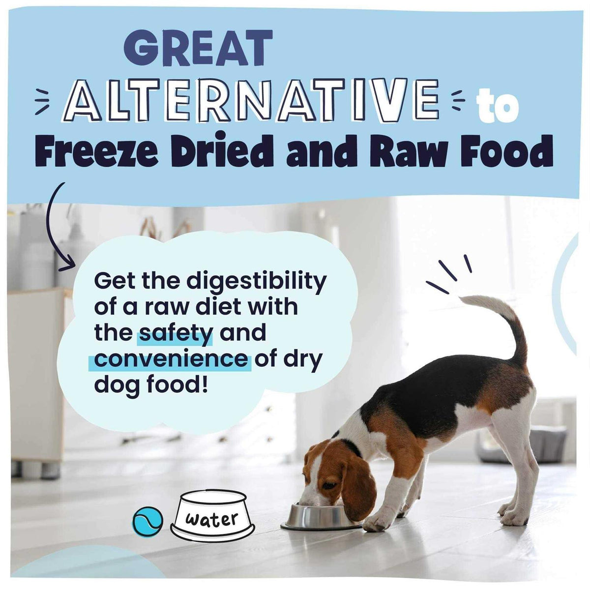 Grain-Free Air Dried Dog Food B9697