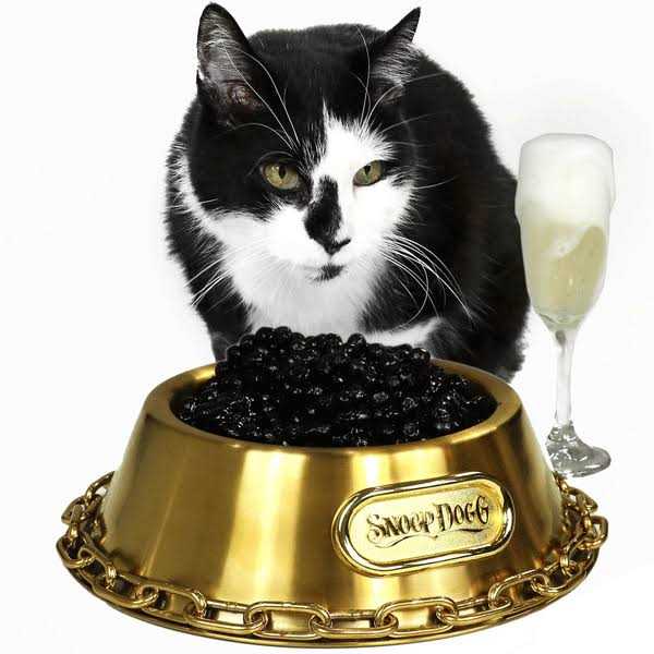 Dog Bowl M164