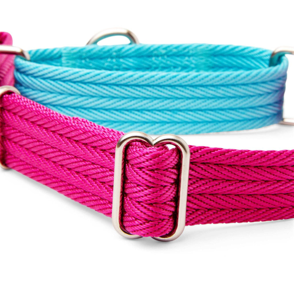 Teal Dog Collar X9146