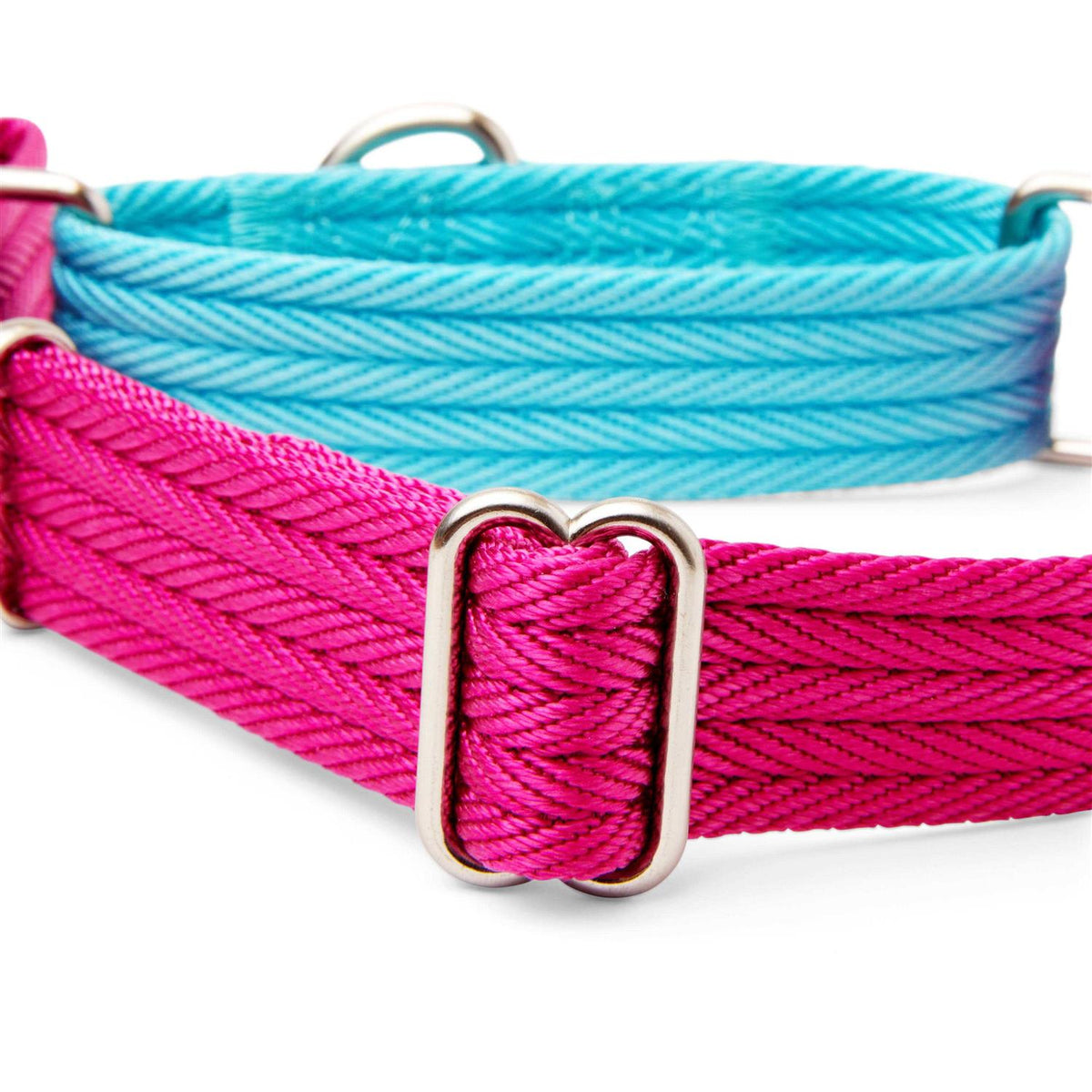Teal Dog Collar X9146