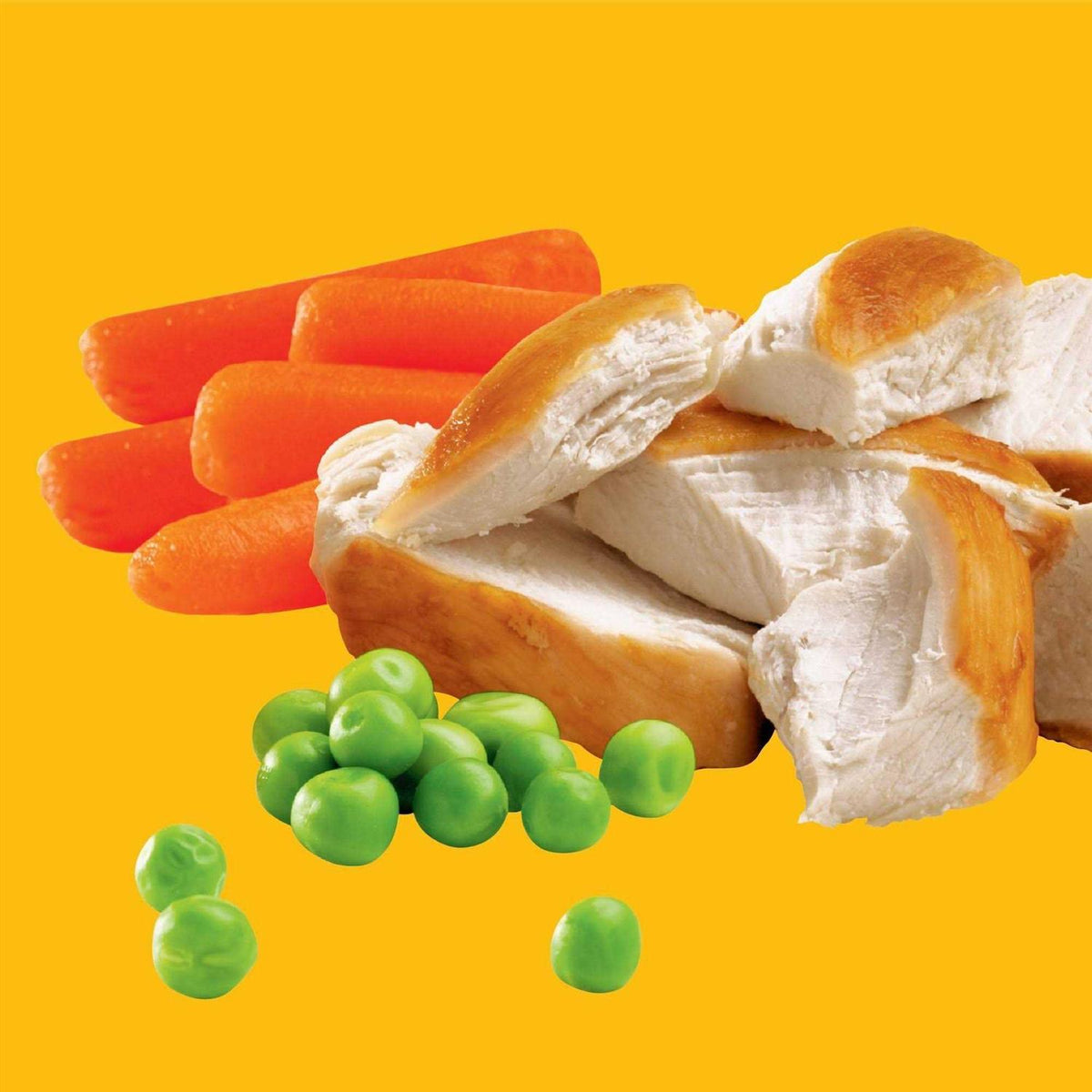 Chicken & Vegetable Dry Dog Food N5751