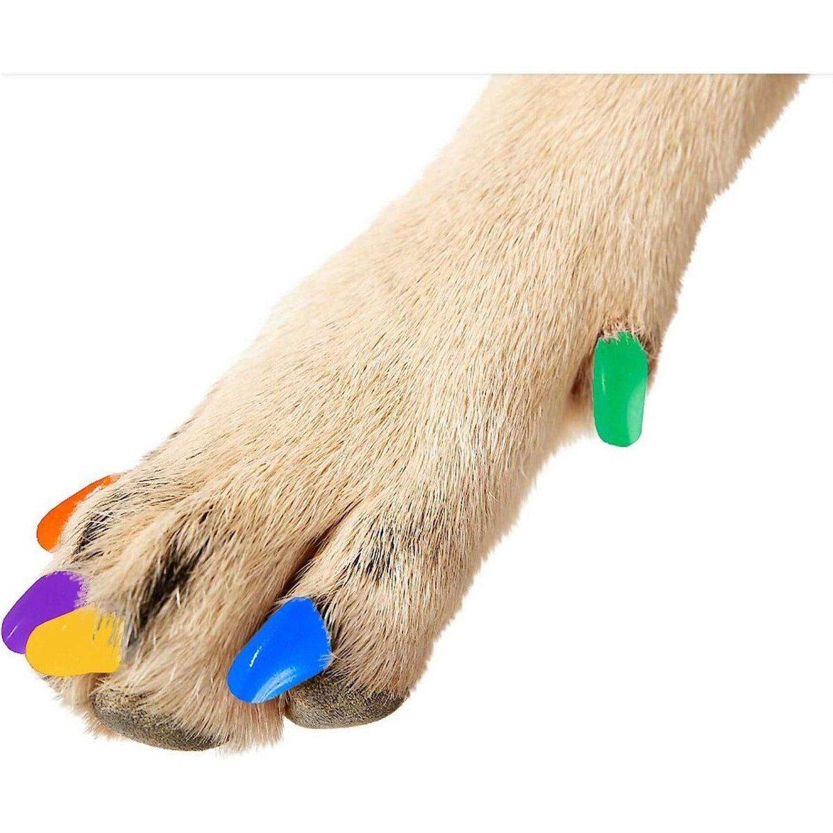 Soft Nail Caps for Dogs M78288