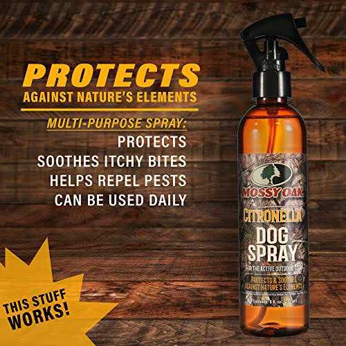 Citronella Dog Spray Y1499