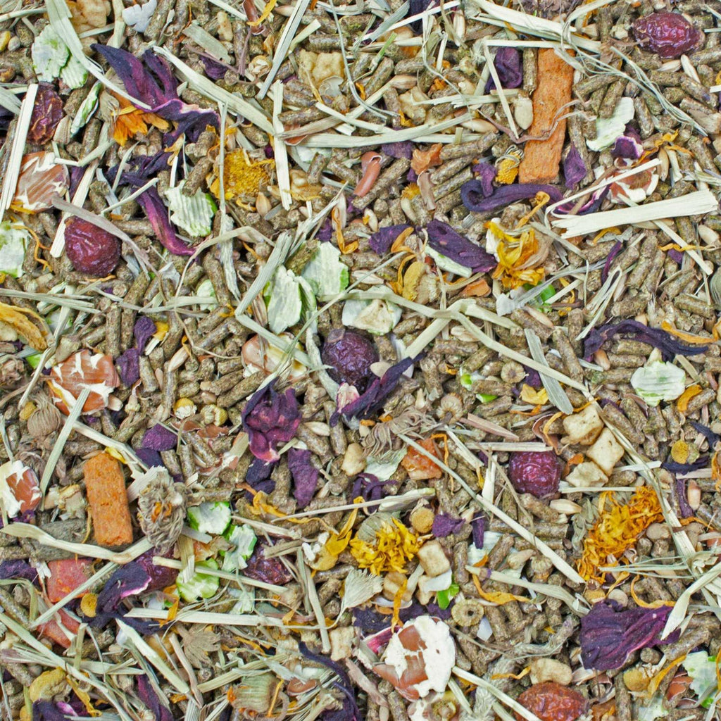 Gourmet Blend Chinchilla Food H26318
