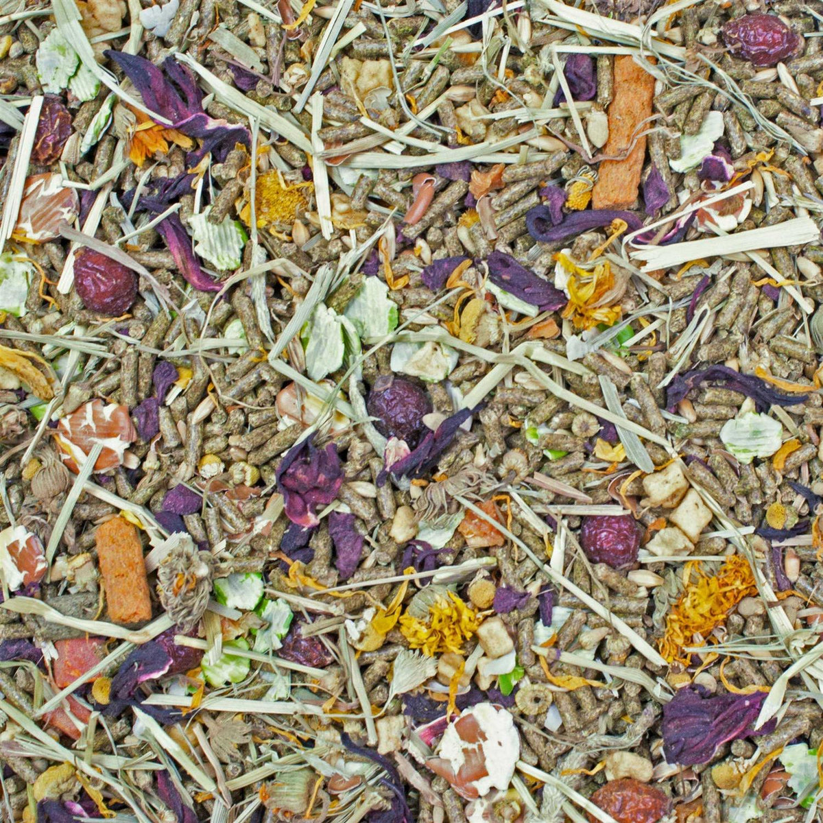 Gourmet Blend Chinchilla Food H26318