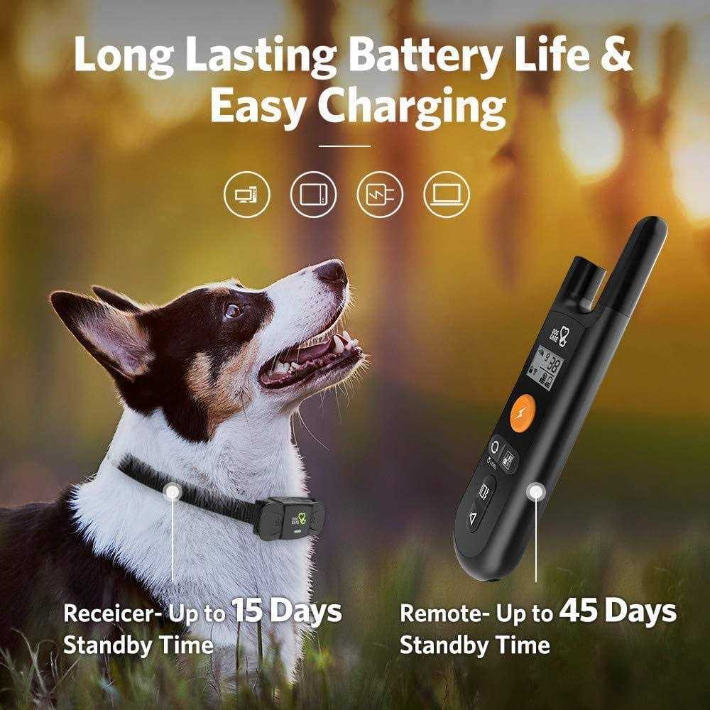 Dog Training System G615878