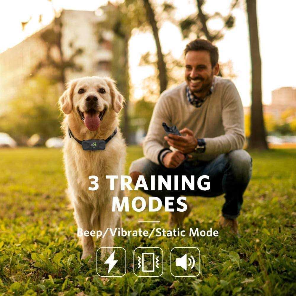 Dog Training System G615878