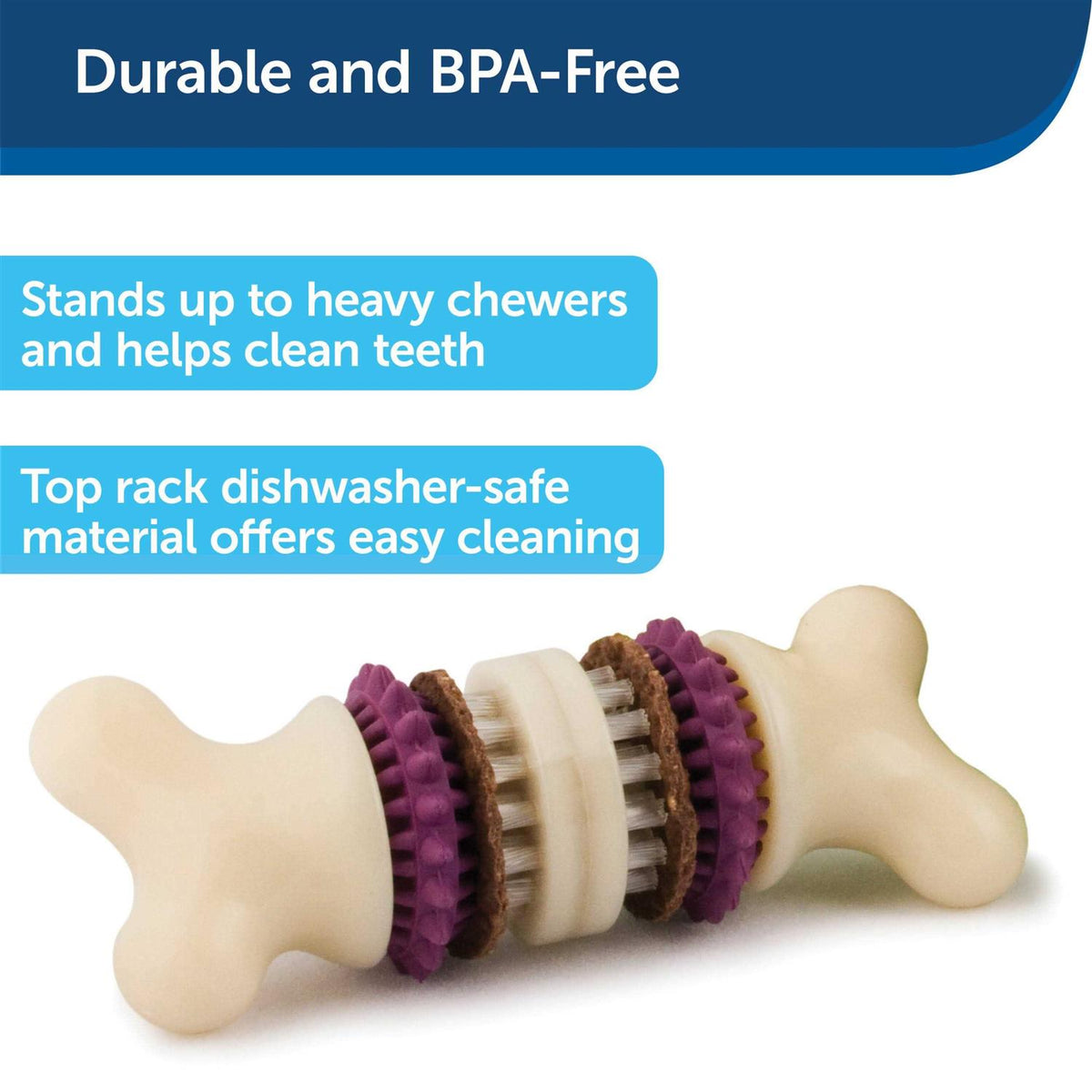 Bristle Bone J537