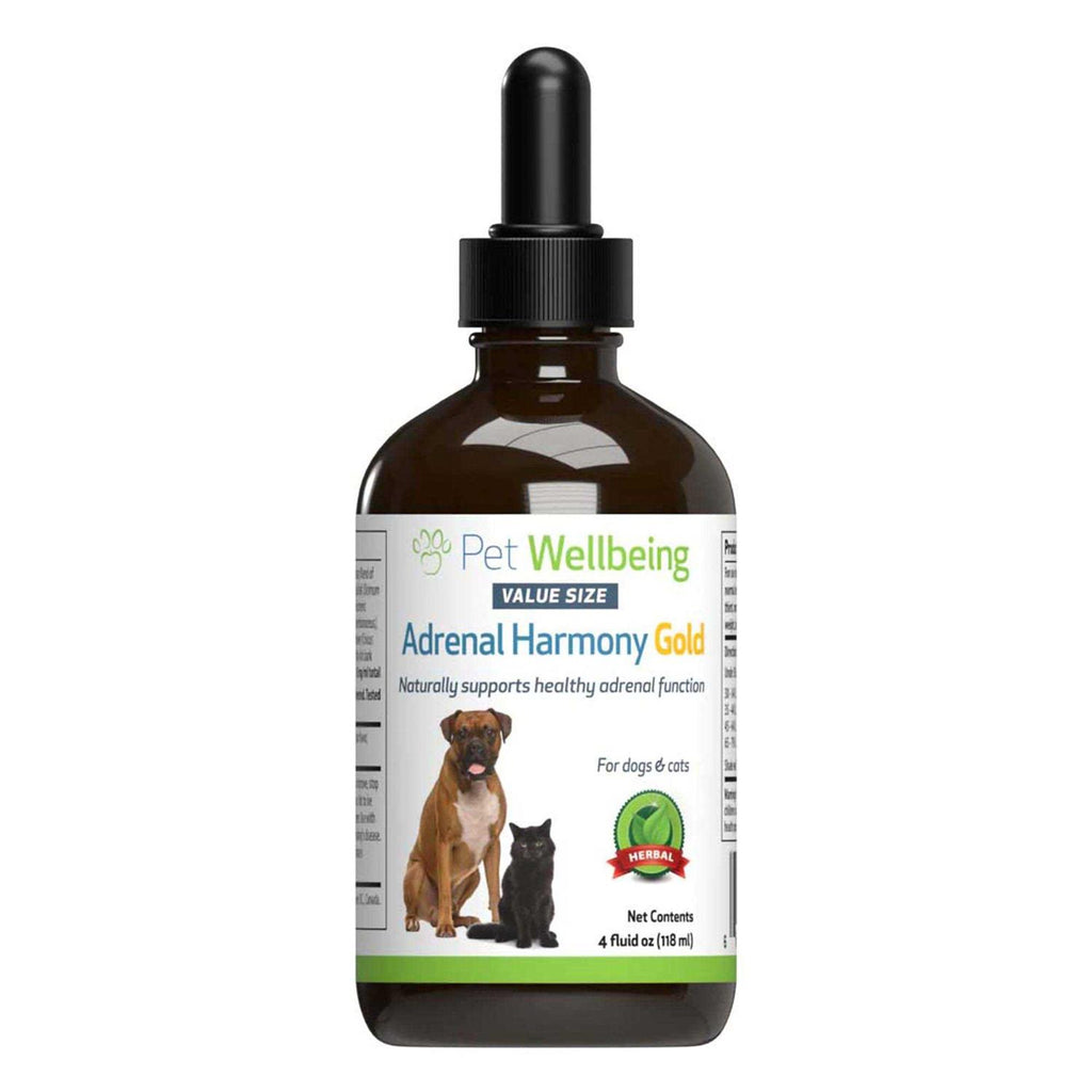 Adrenal Harmony Gold Dog Supplement X4031