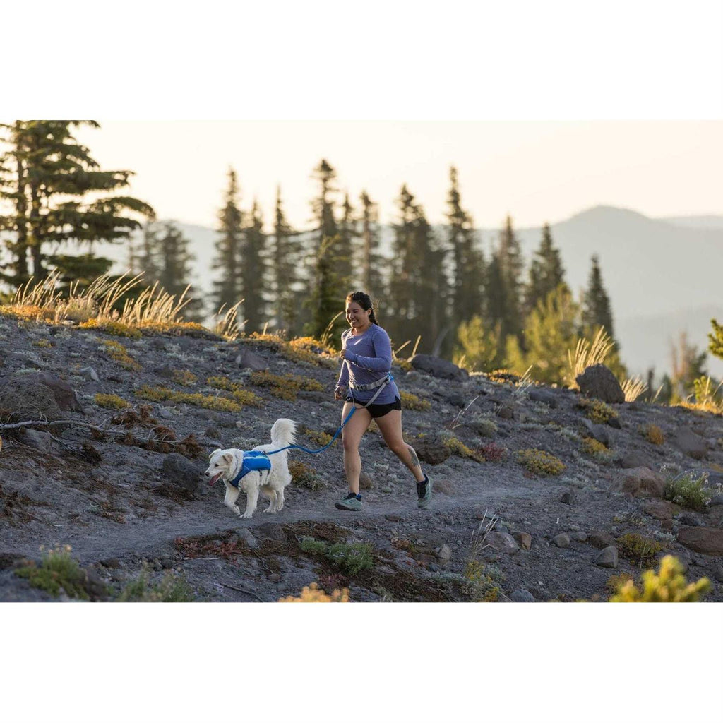 Trail Runner Belt C20663