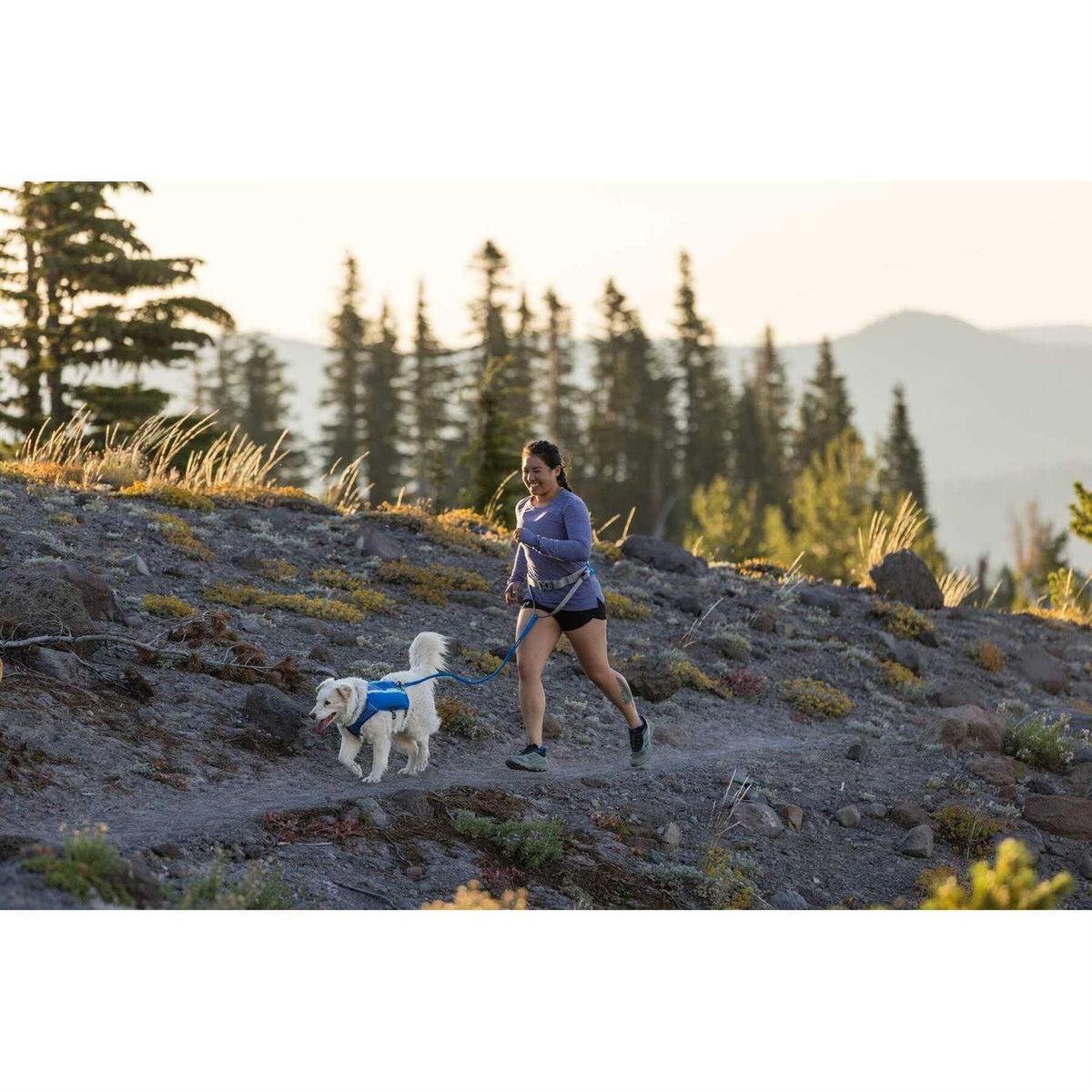 Trail Runner Belt C20663