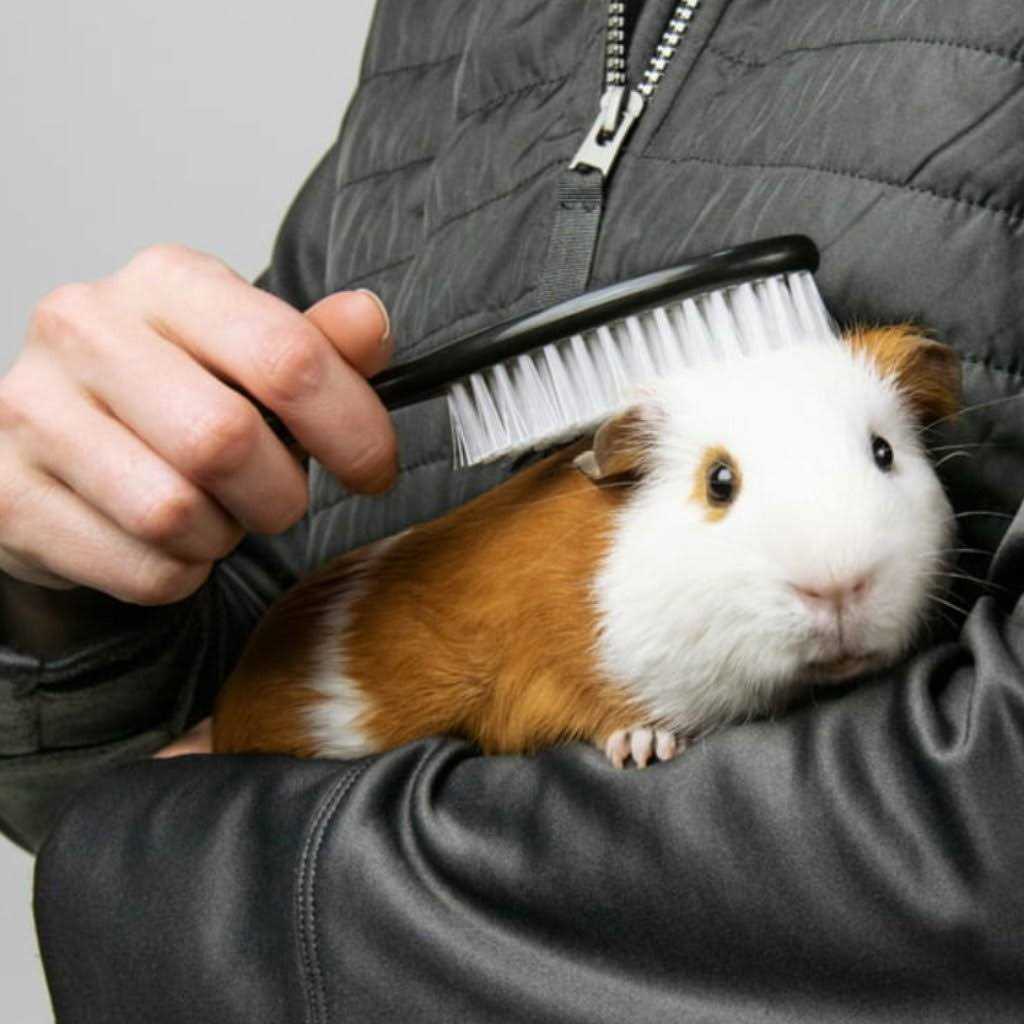 Small Animals' Grooming Kit E22104