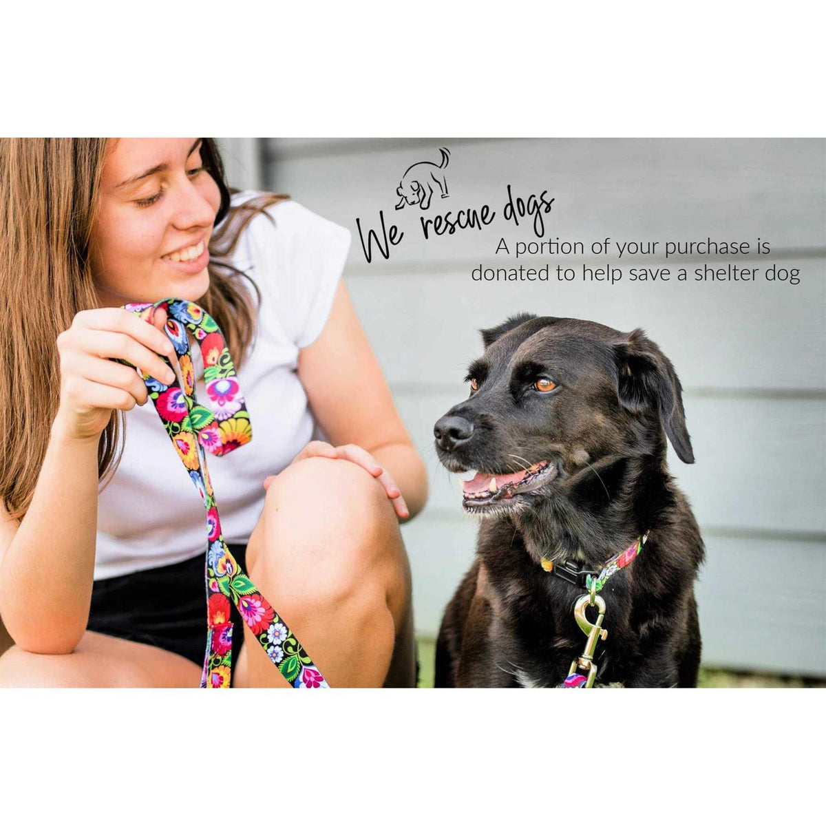 Martingale Dog Collar D3611