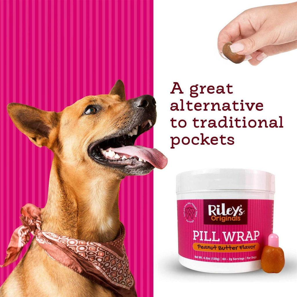 Peanut Butter Flavored Pill Paste for Dogs K960408