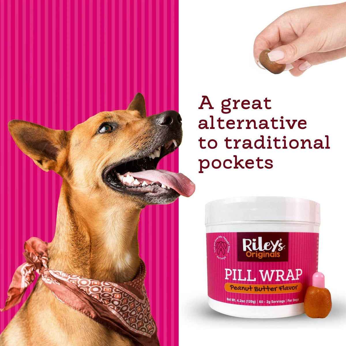Peanut Butter Flavored Pill Paste for Dogs K960408