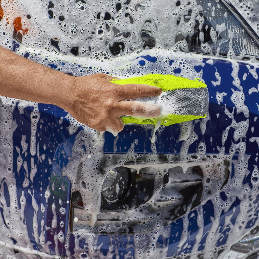 Wash and Bug Sponge O23533