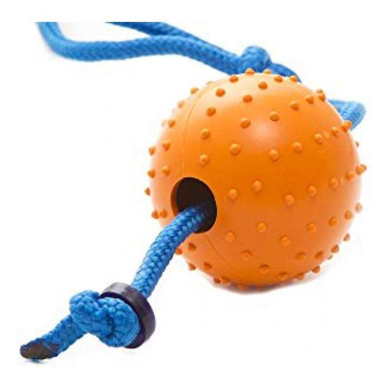 Pet Squeaker Toy O34658