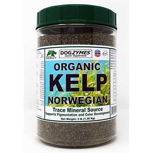 Organic Kelp with Garlic J955