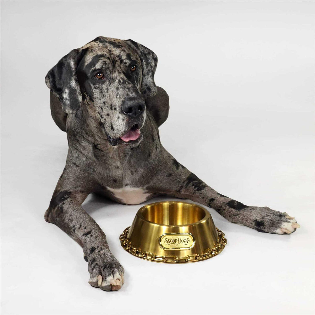 Dog Bowl M164