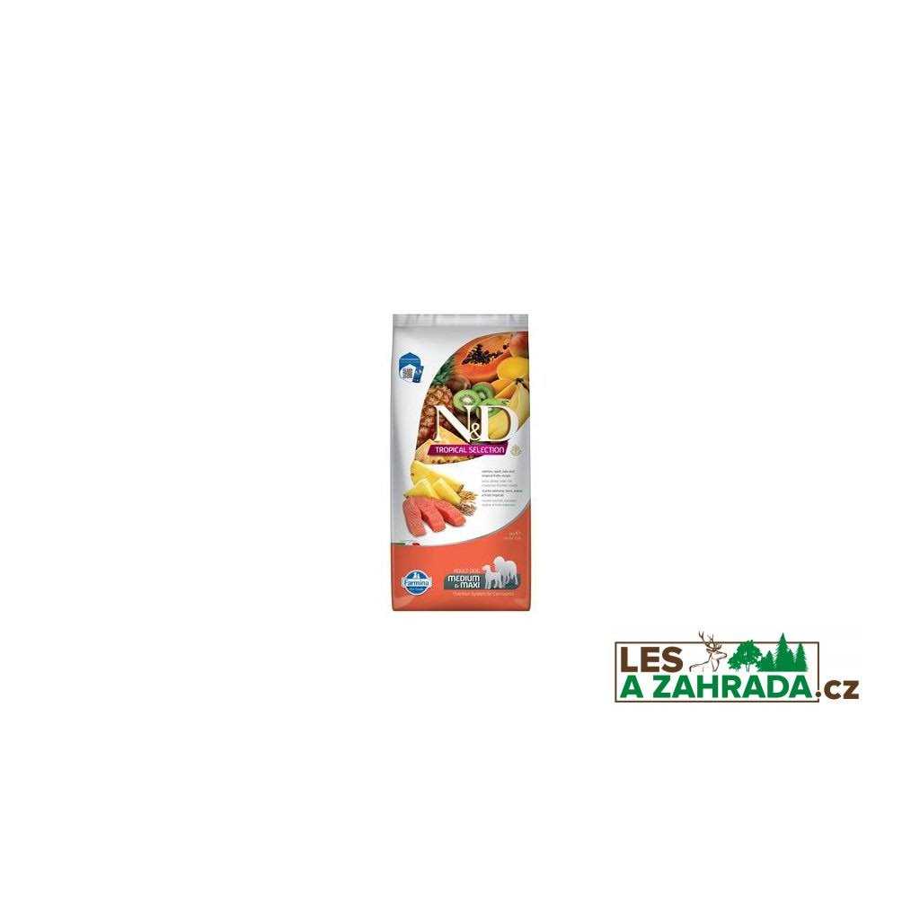 Salmon Adult Dog Food O73691