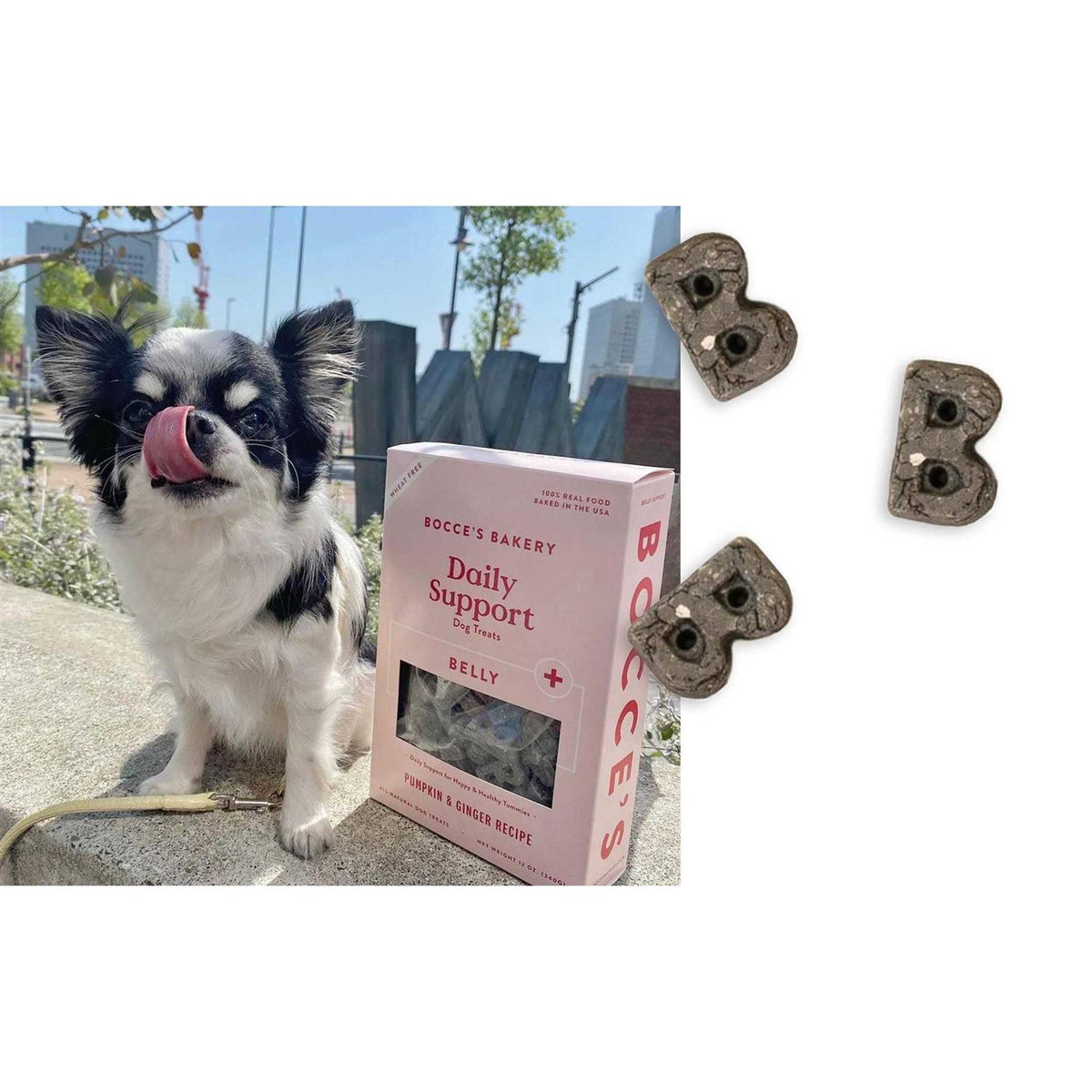 Dog Breath Aid Treats 12oz W30009