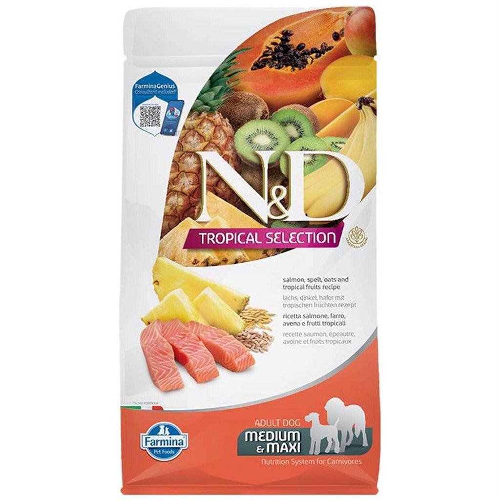 Salmon Adult Dog Food O73691