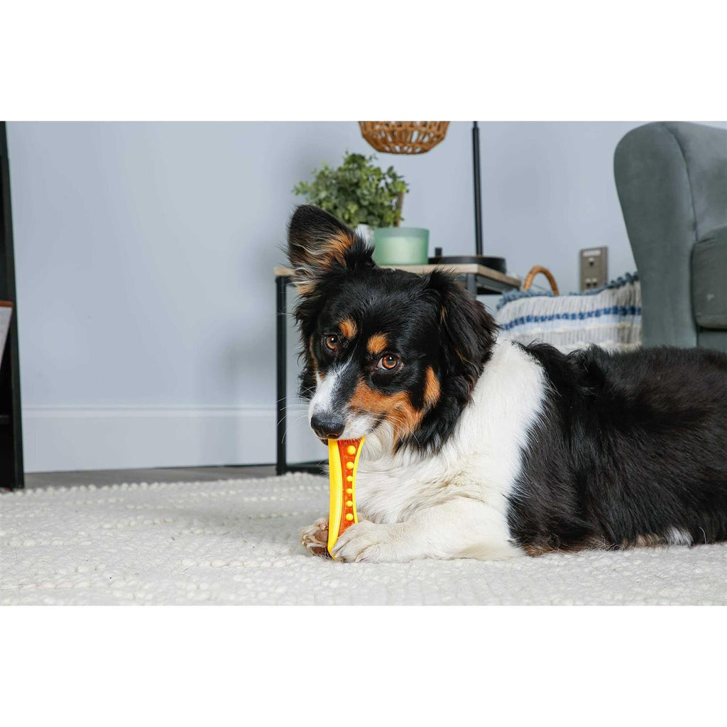 Dog Chew Toy Treat J5200