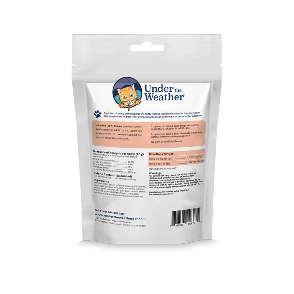 L Lysine Soft Chews E99253