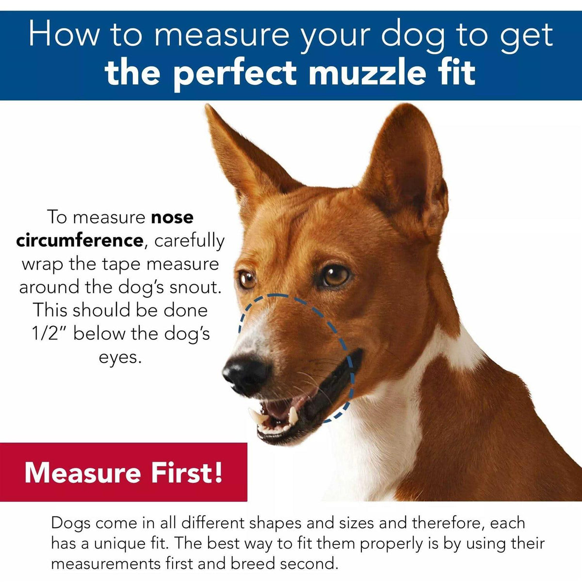 Muzzle F744764