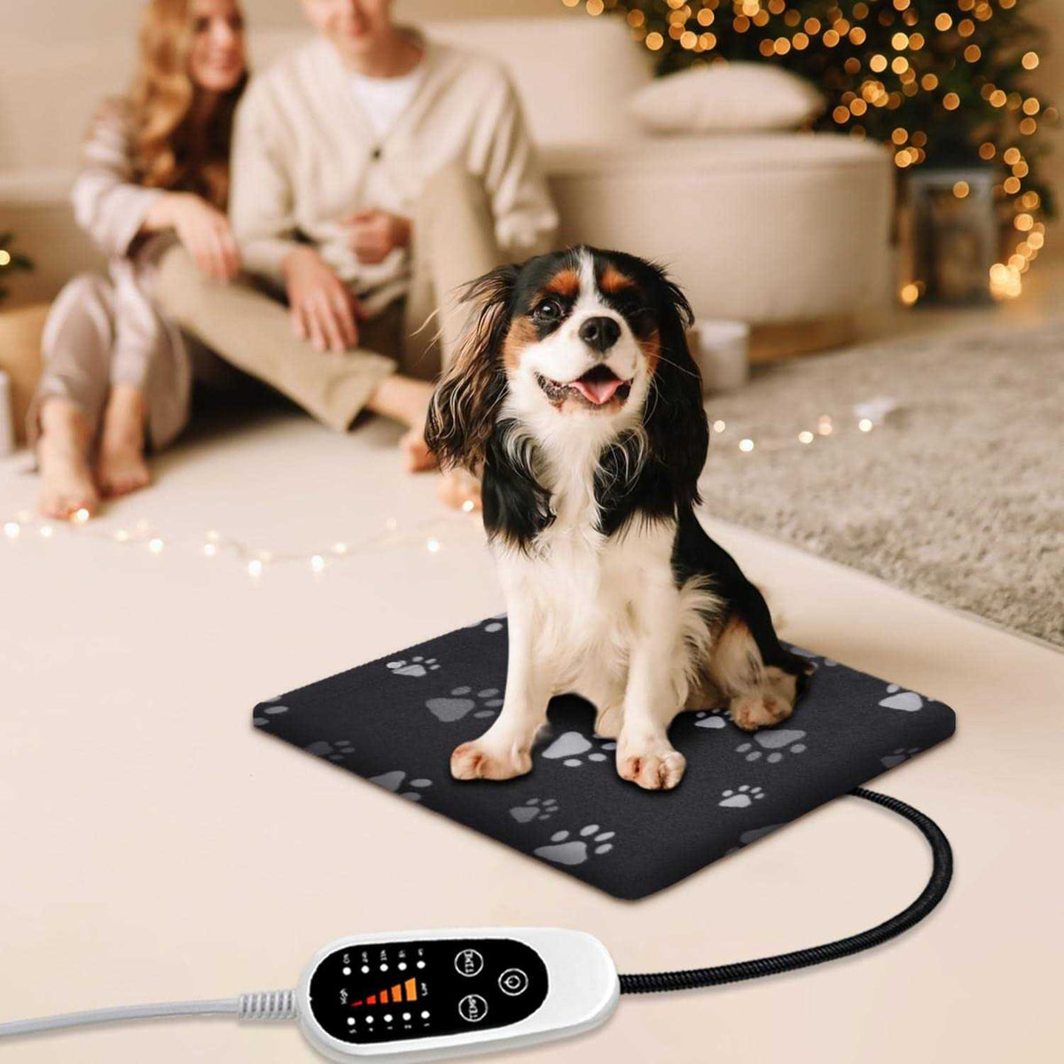 Pet Heating Pad with Removable Cover R567151