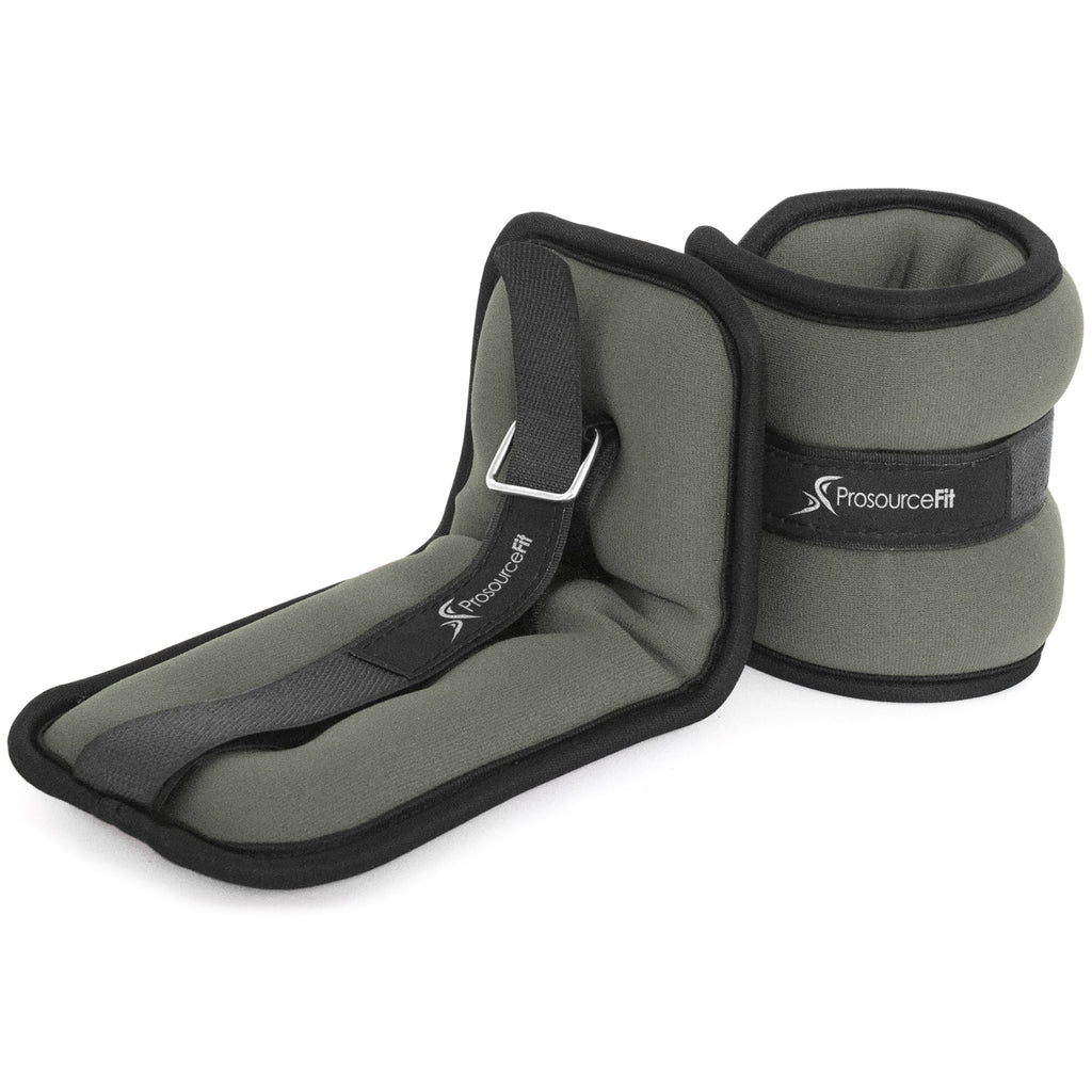 Ankle Weights 2.5 Set of 2 Purple R805457
