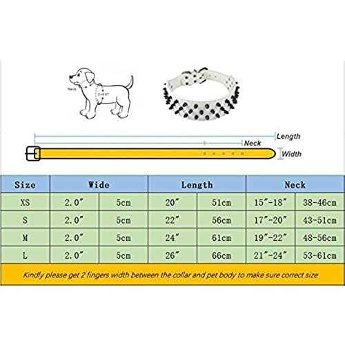 Black Spiked Studded Dog Collar X80151