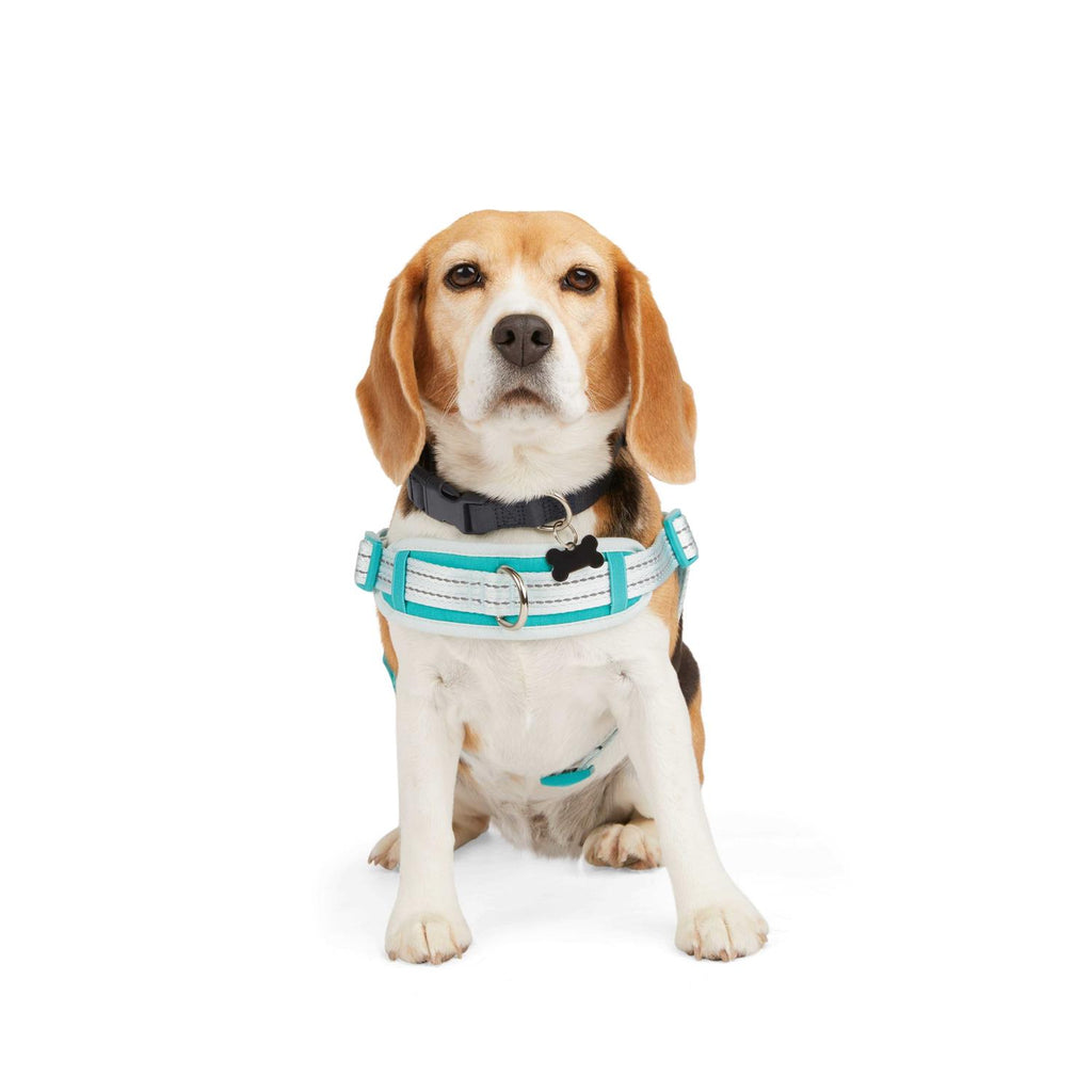 Easy On Training Dog Harness R4359