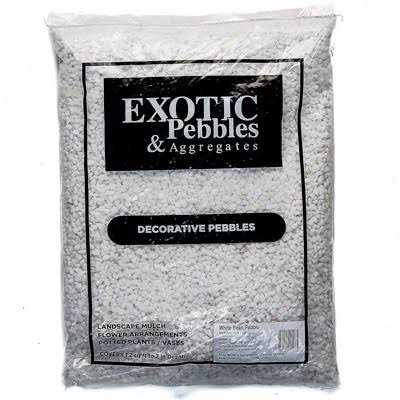 Bean Pebbles Z41942