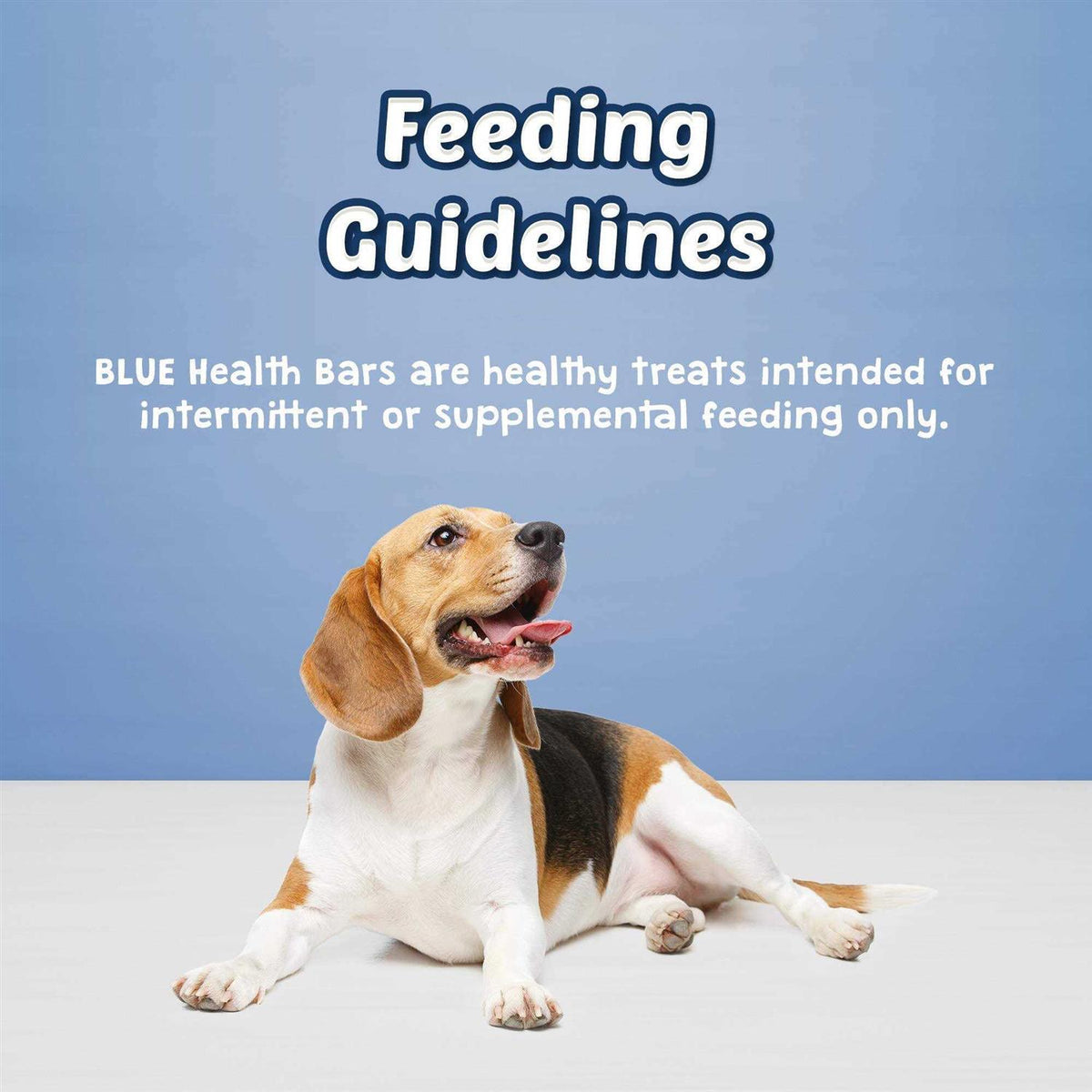 Dog Biscuits Z557543