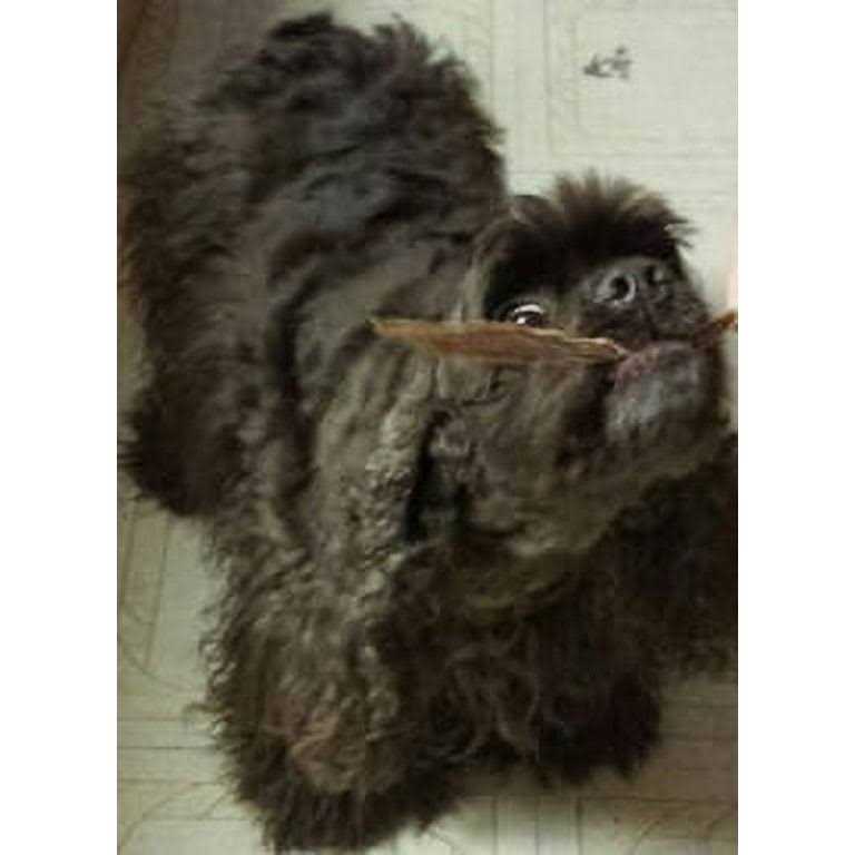 Duck Jerky Strips J2315