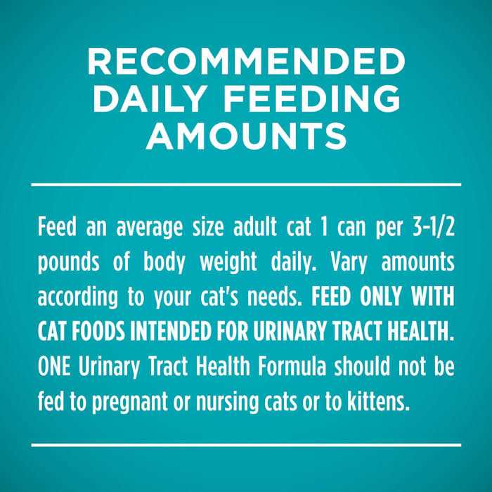 Beef & Liver Recipe Pate Wet Cat Food L118085