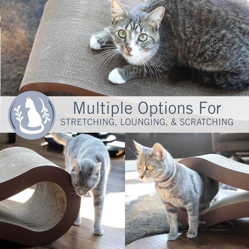 Cat Scratcher Lounge O330