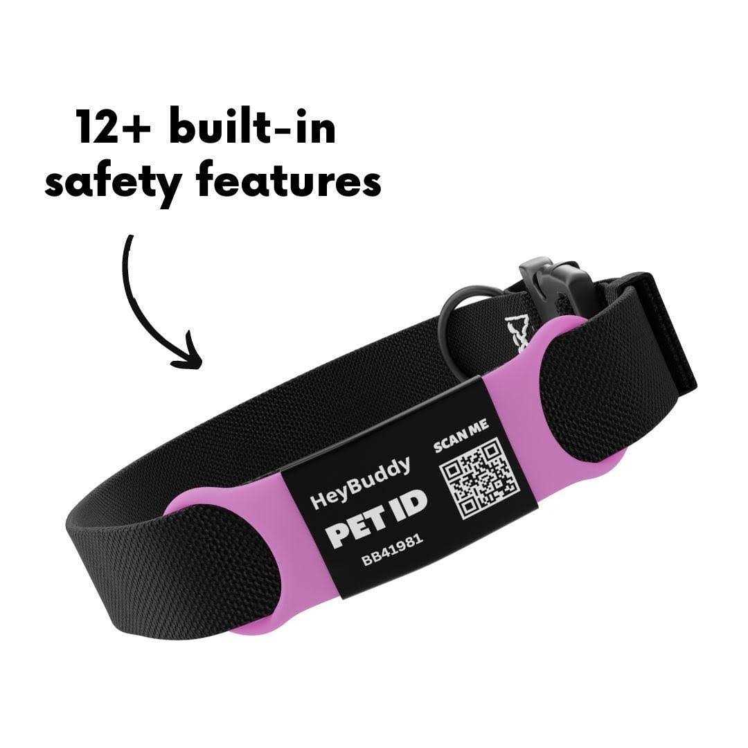 Noiseless QR Code Pet Tag Q784