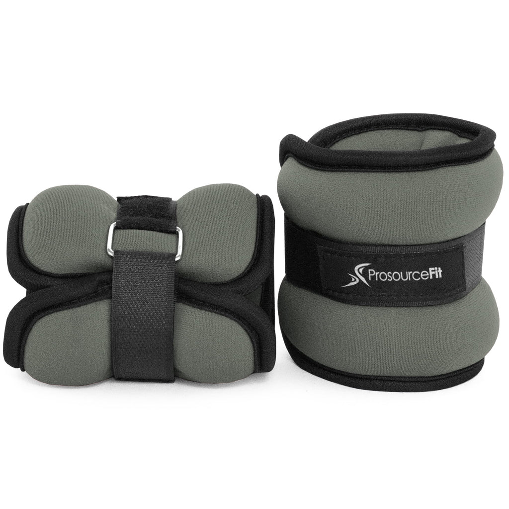 Ankle Weights 2.5 Set of 2 Purple R805457