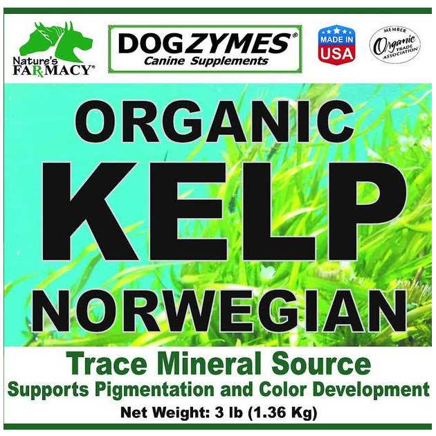 Organic Kelp with Garlic J955